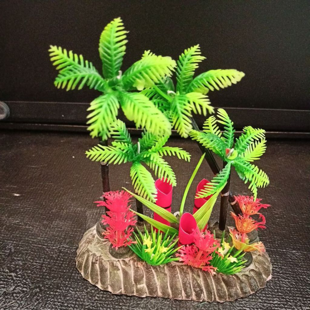 hiasan aquarium kelapa kembar