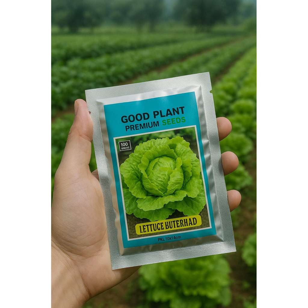 

Serba Seribu - Selada Premium