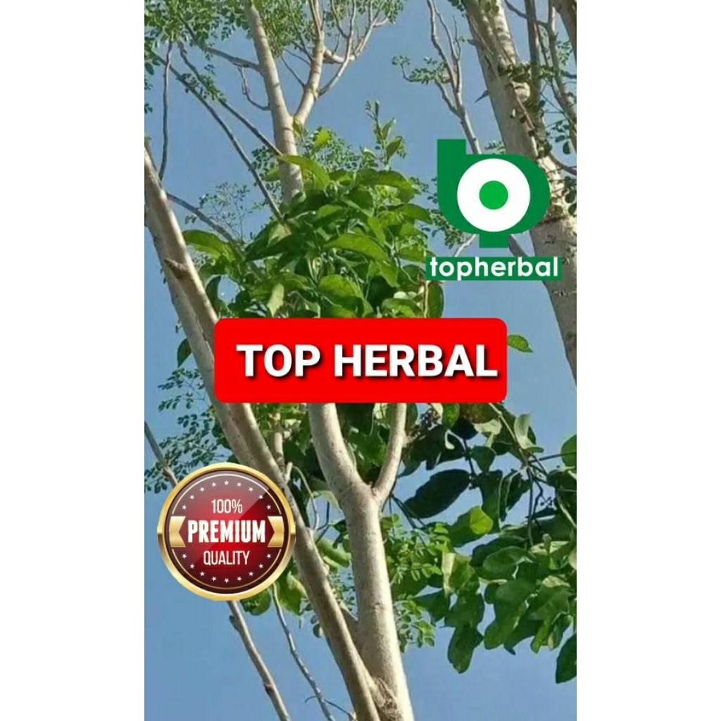 

Daun benalu Kelor kering hijau grade A+ 1kg/1000gram