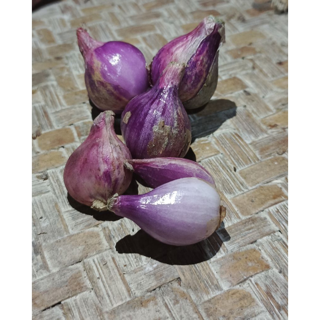 

bawang merah lumayan besar-besar