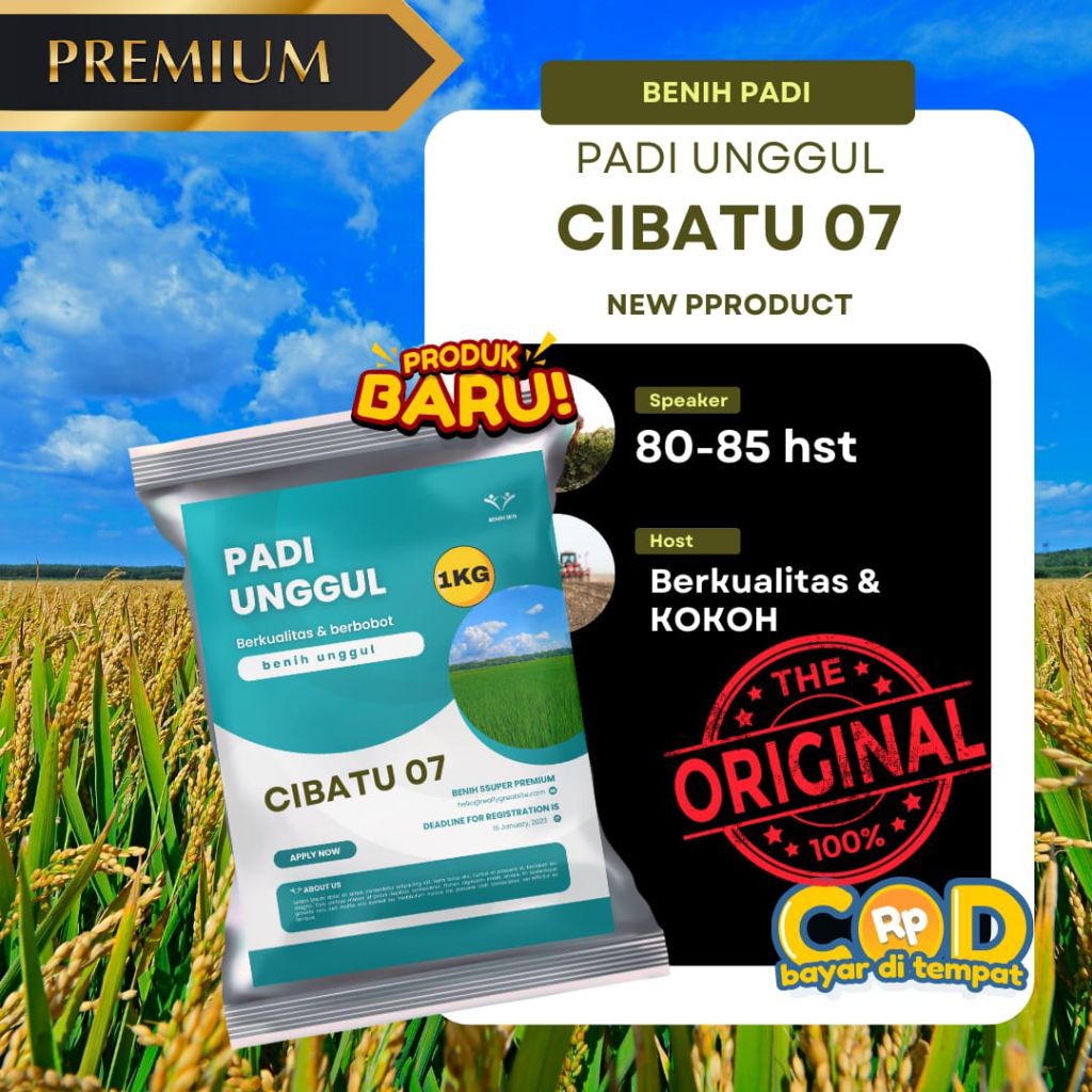 benih padi Cibatu 07 benih padi berkualitas super benih padi unggul dalam kemasan 1kg