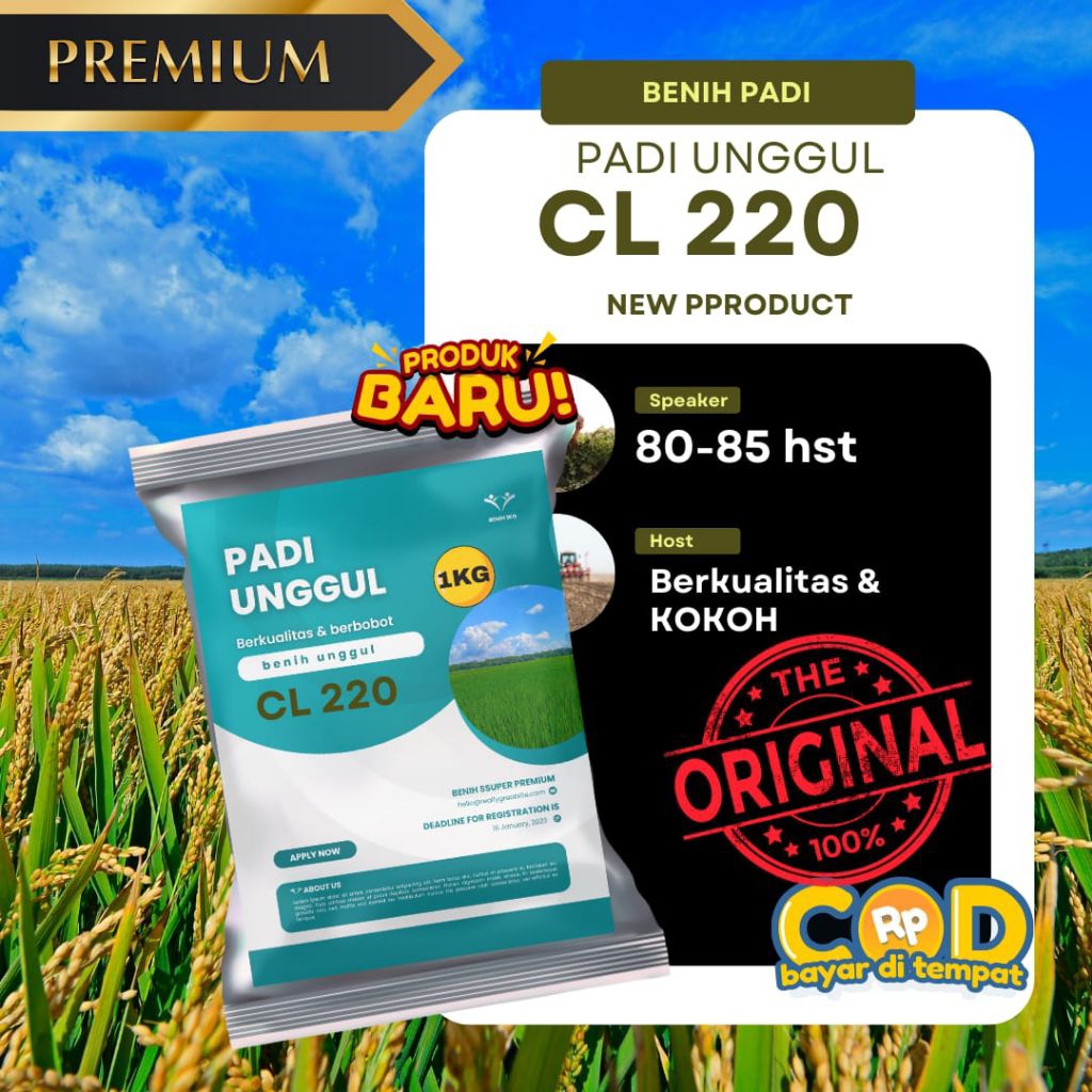 benih padi Cl 220 benih padi berkualitas super benih padi unggul dalam 1kg