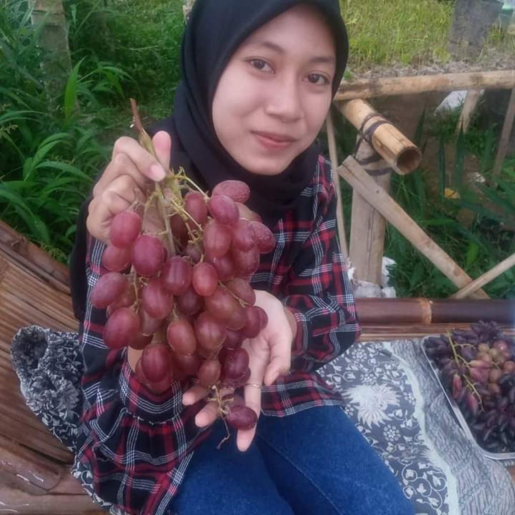 PUPUK ANGGUR RENDEL vegetatif-generatif