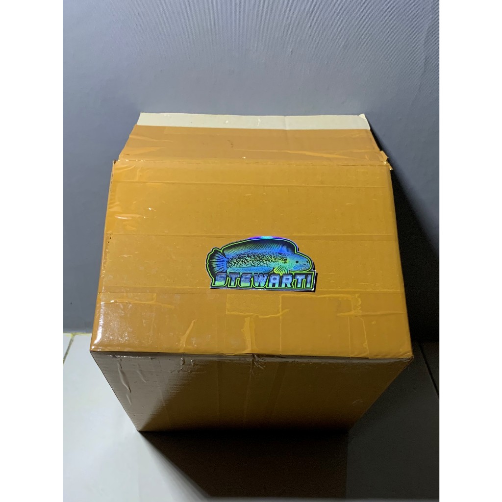 

Kardus Packing Extra Ste Warti