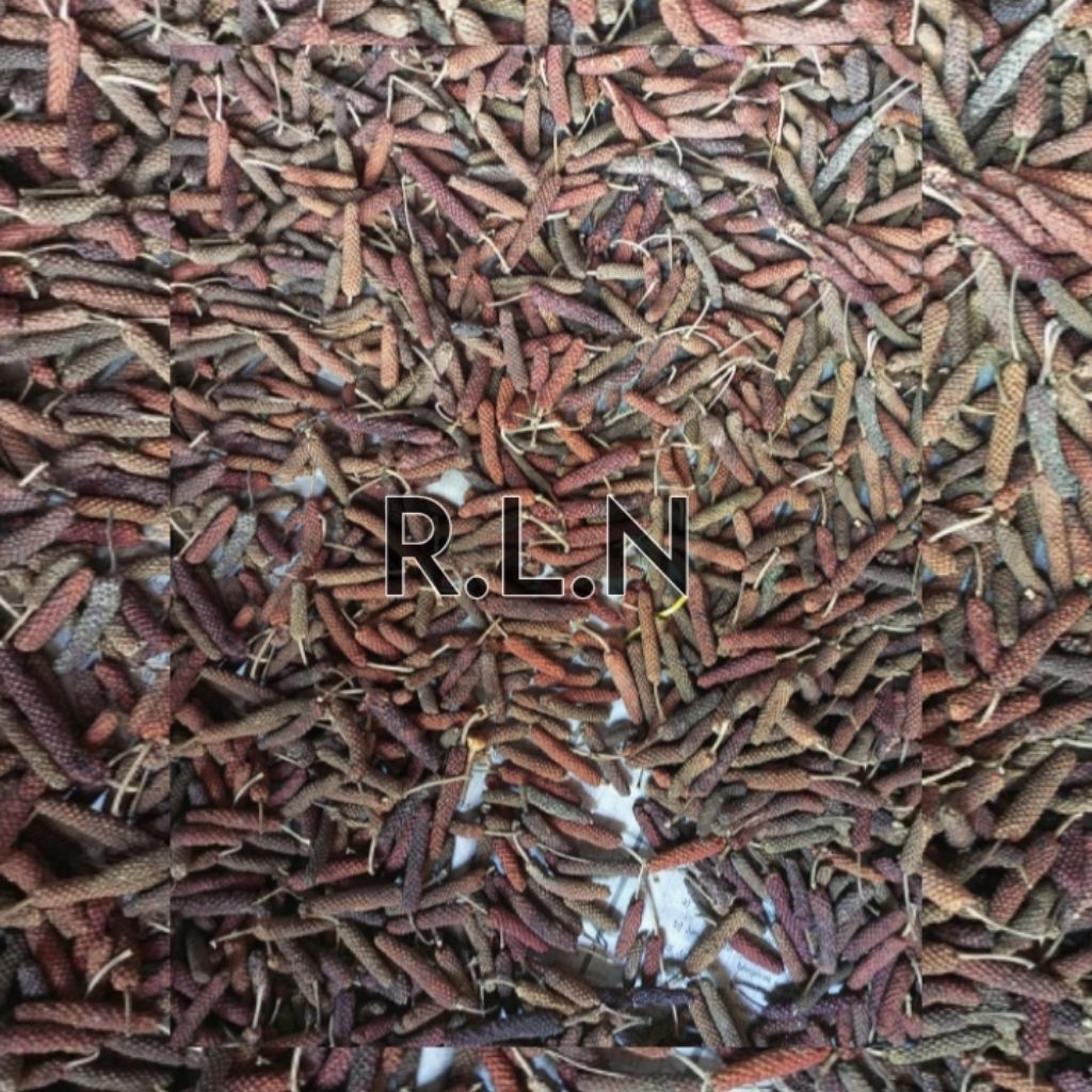 

cabe rambat | cabe jawa | cabe rambat kering