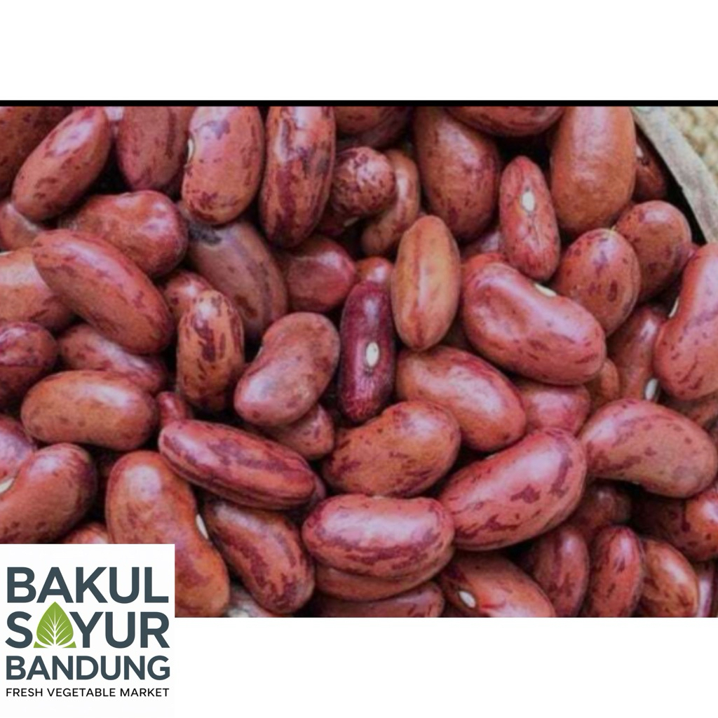 

Kacang Merah