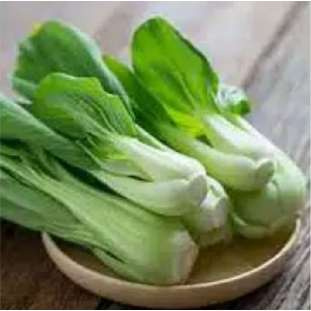 

sayur pak coi / BOK coi / sayur botol segar fresh bersih