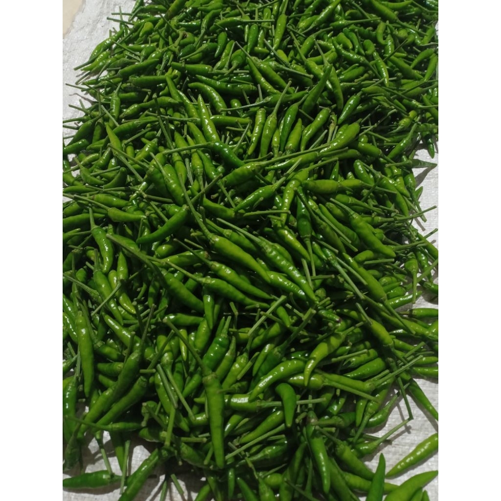 

CABE RAWIT HIJAU SEGAR 1KG