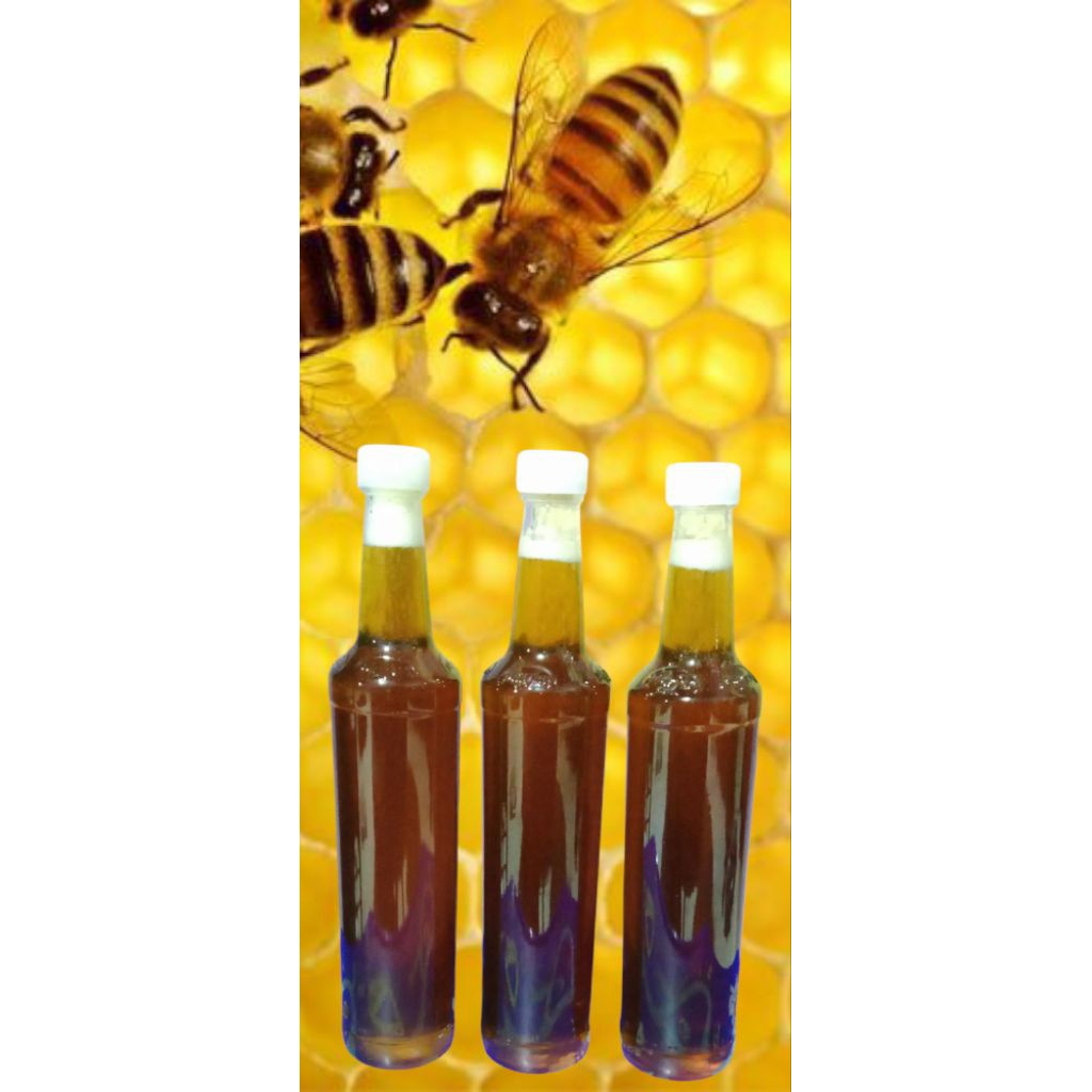 

madu Asli Multiflora (Grosir)