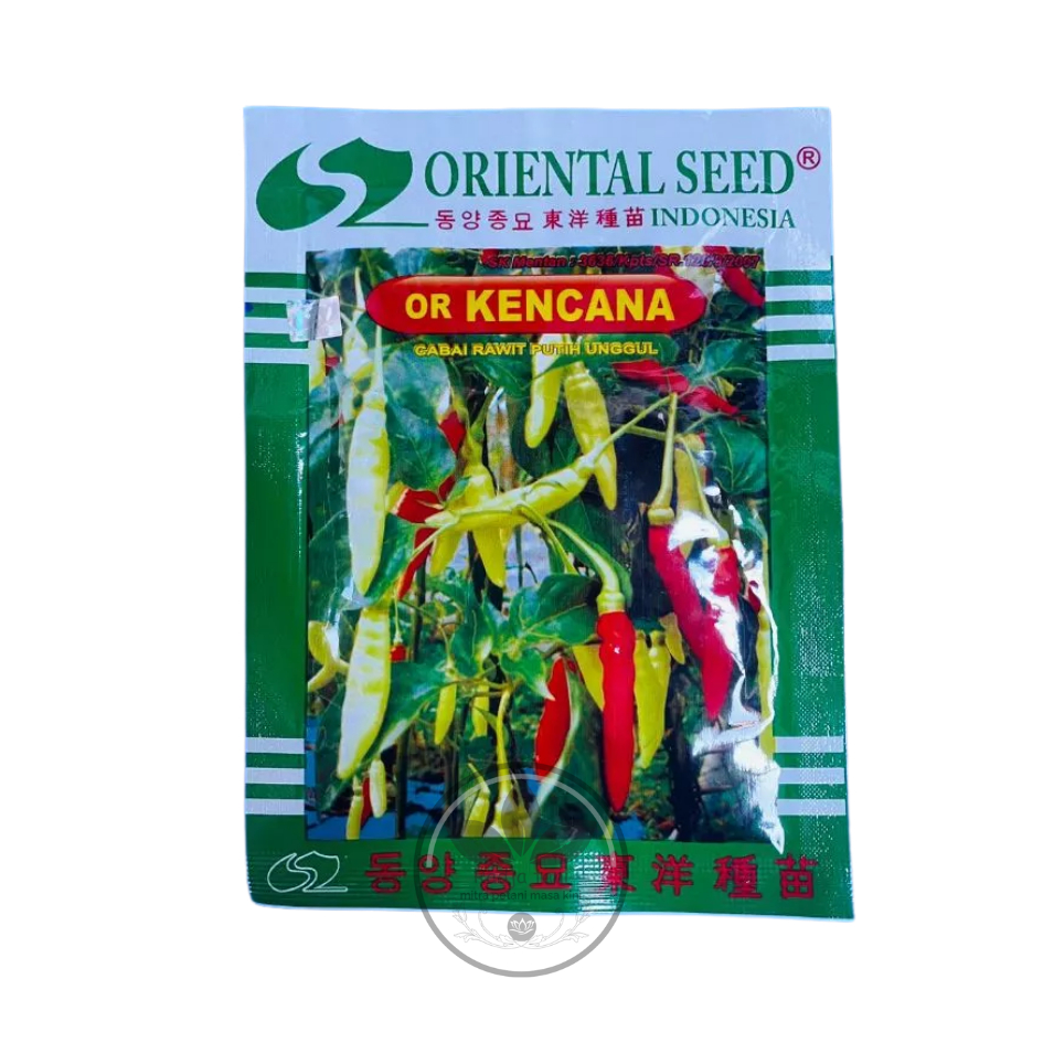 Benih - Benih cabai rawit putih unggul or KENCANA isi 10gr dari ORIENTAL SEED (ORIENTAL SEED)