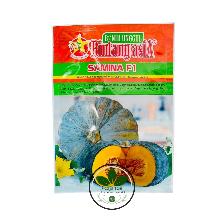 Benih - Benih waluh labu kuning SAMINA F1 hibrida isi 10gr dari BINTANG ASIA (BINTANG ASIA)