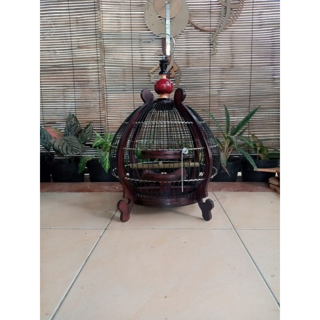 Sangkar perkutut jeruji fiber