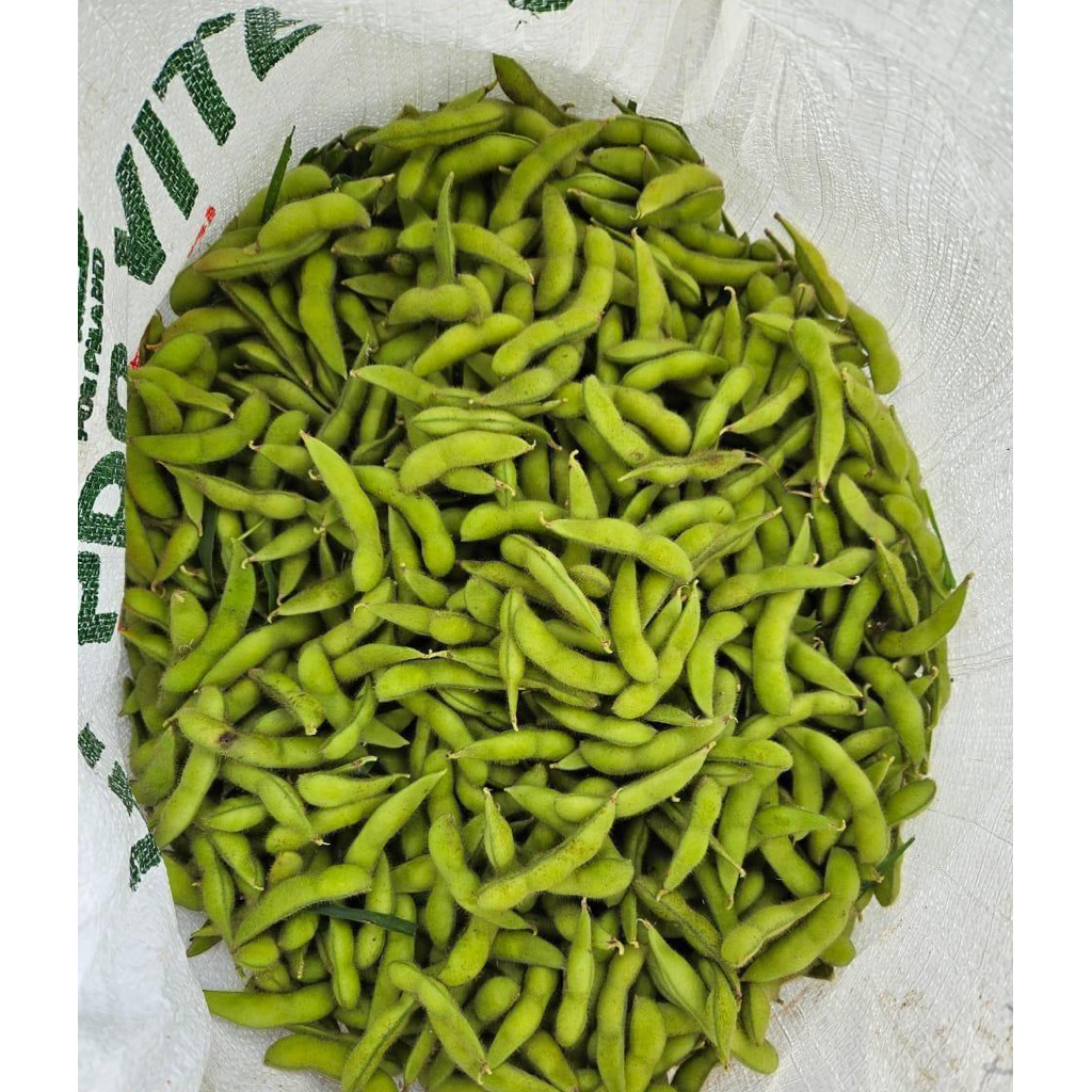 

Edamame RM mentah ready stock
