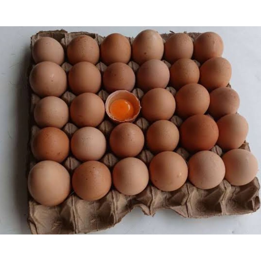 

telur omega fres kemasan mika isi 10