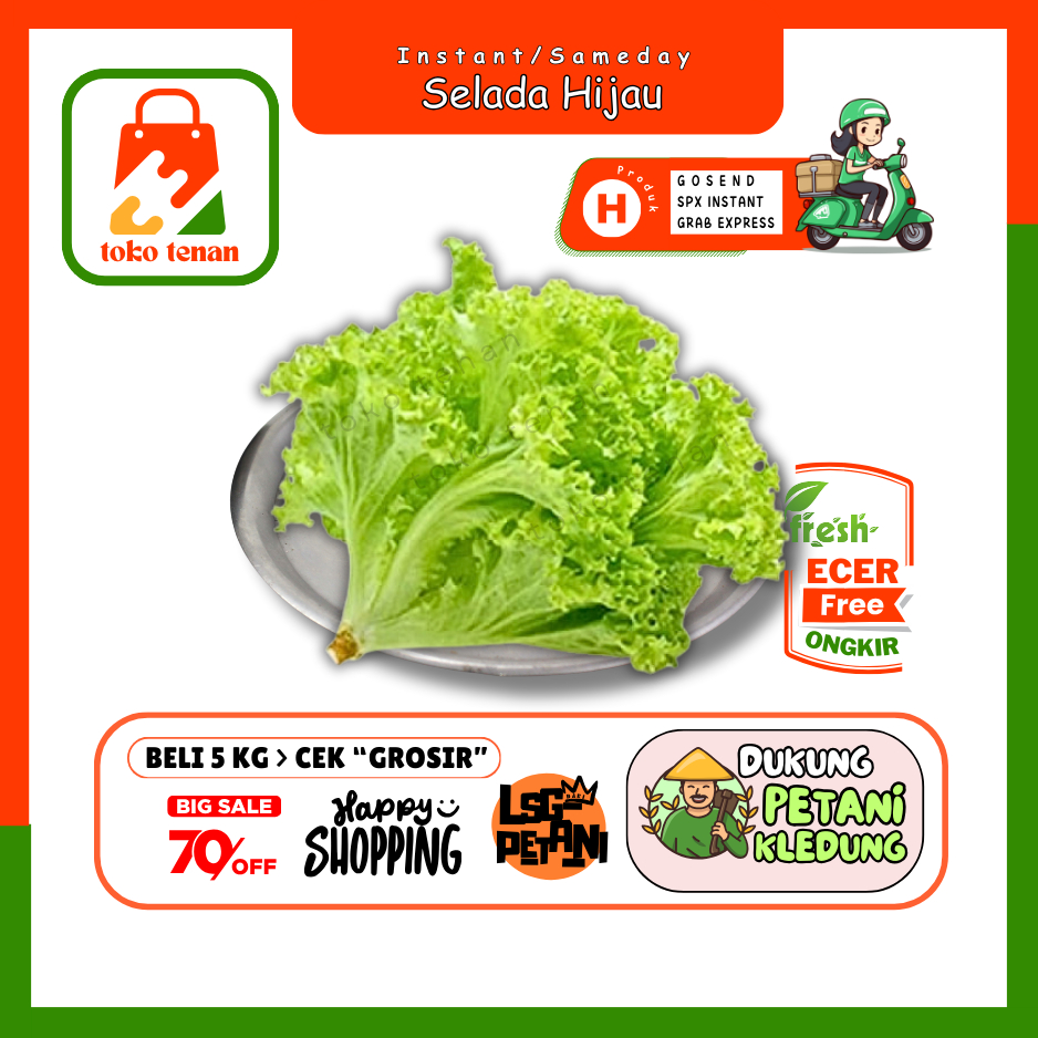 

Tokotenan // Selada Hijau Keriting -- Sayur Gunung Ecer (H)