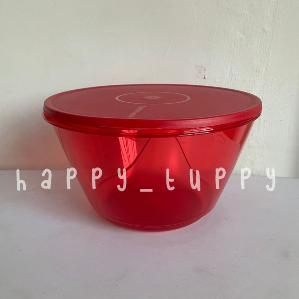 3S bowl 5,5L Tupperware