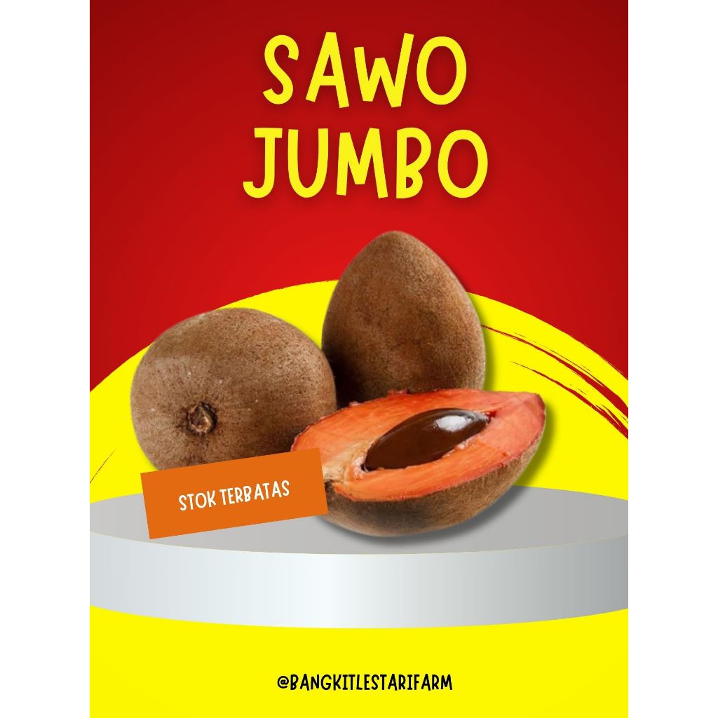 

TER-ENAK !! Buah Mamey Sapote Origin