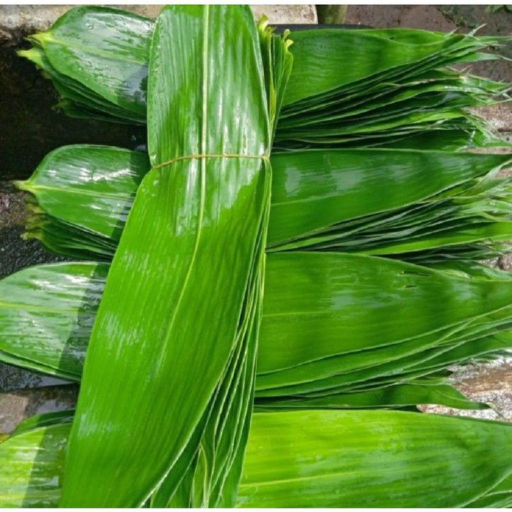 

DAUN BAMBU BAKCANG 100 LEMBAR/DAUN BAMBU BUNGKUS BACANG/DAUN BAMBU SEGAR