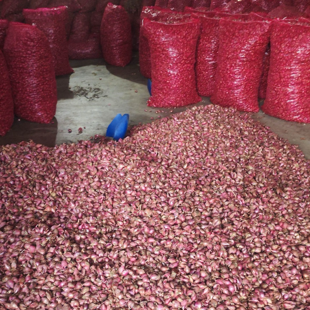 

Bawang Brebes Murah Meriah 1kg