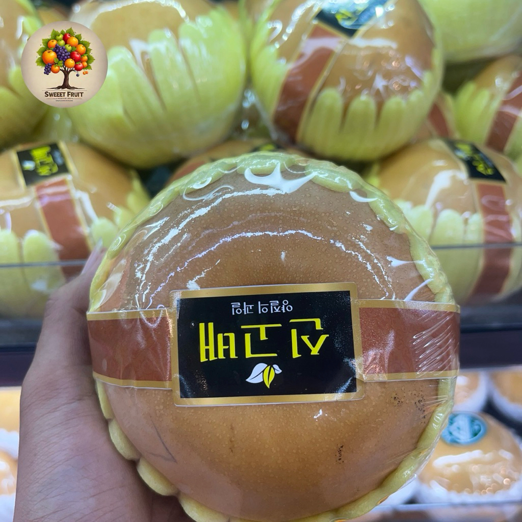 

Pear Singo Korea Premium | Pear Singo RRC 1 Pcs