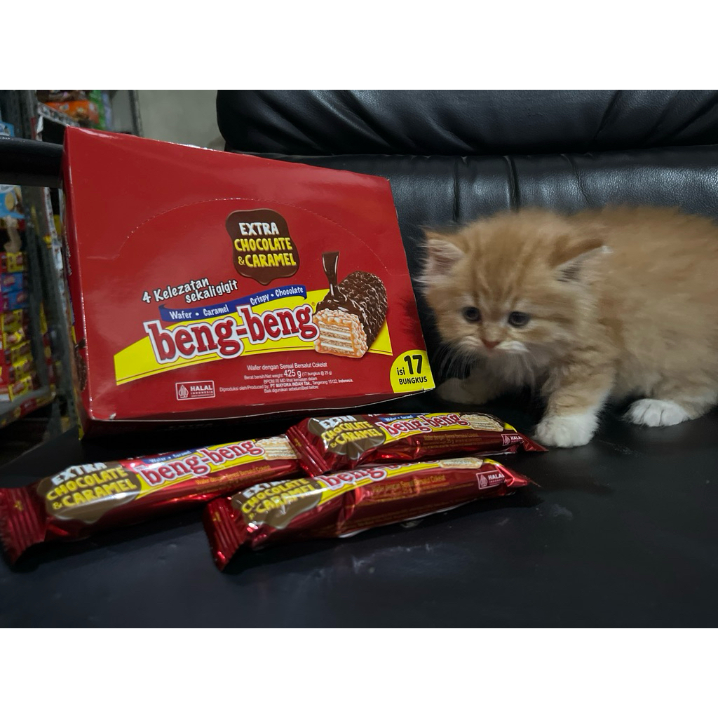 

Beng Beng Wafer Chocolate 22gram (17 Pcs)