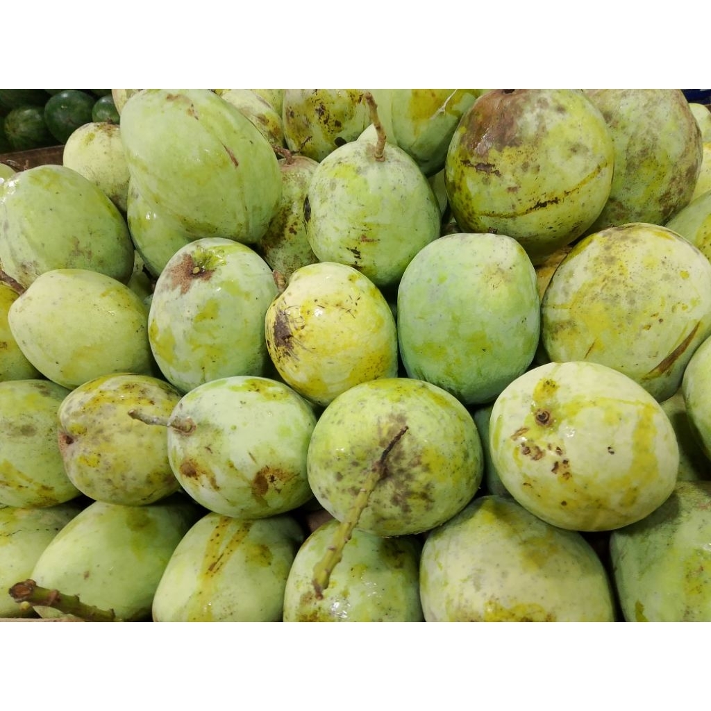 

mangga Indramayu