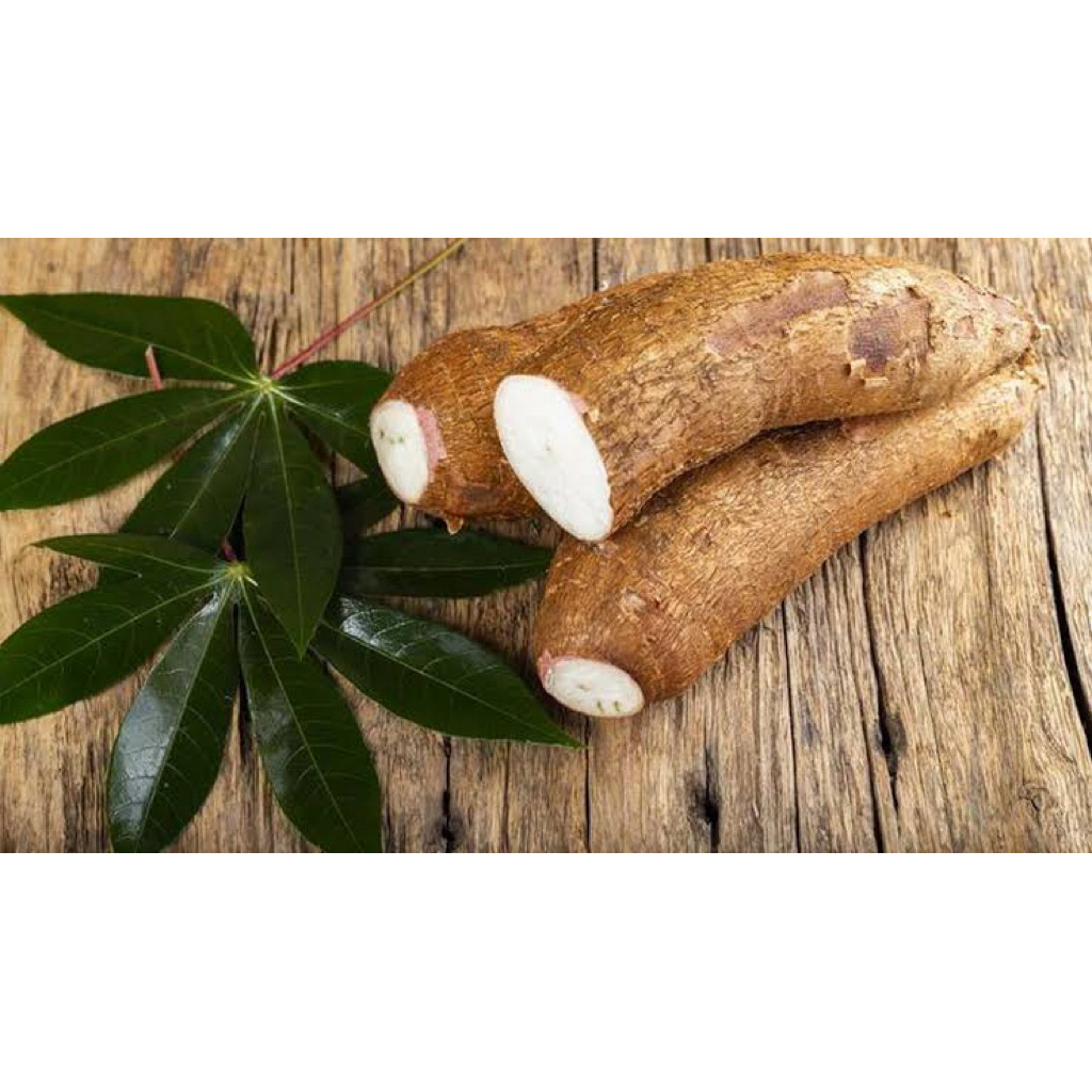 

Singkong pulen/ubi kayu 1kg