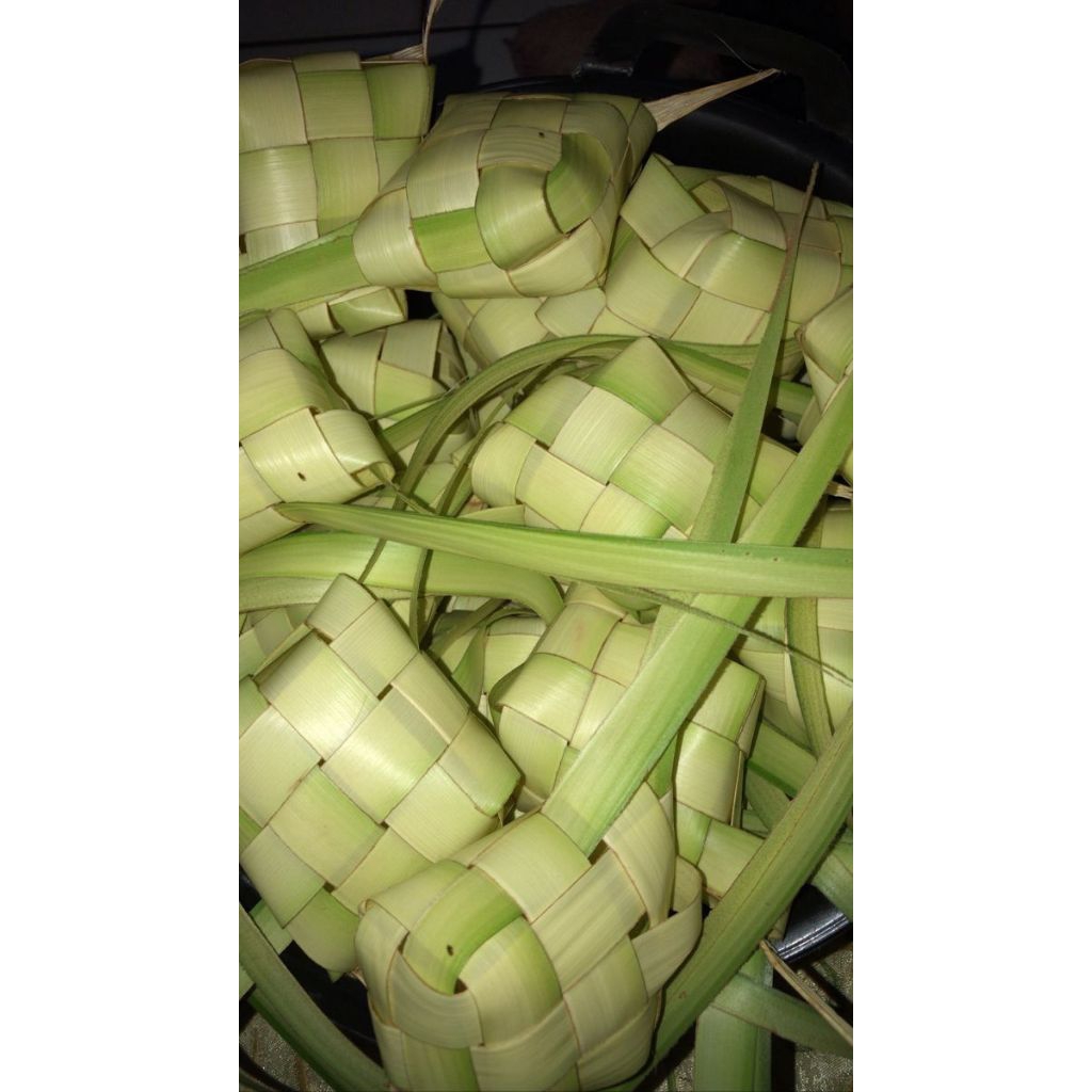 

Kulit ketupat/cangkang ketupat dari daun kelapa segar per 10 pcs