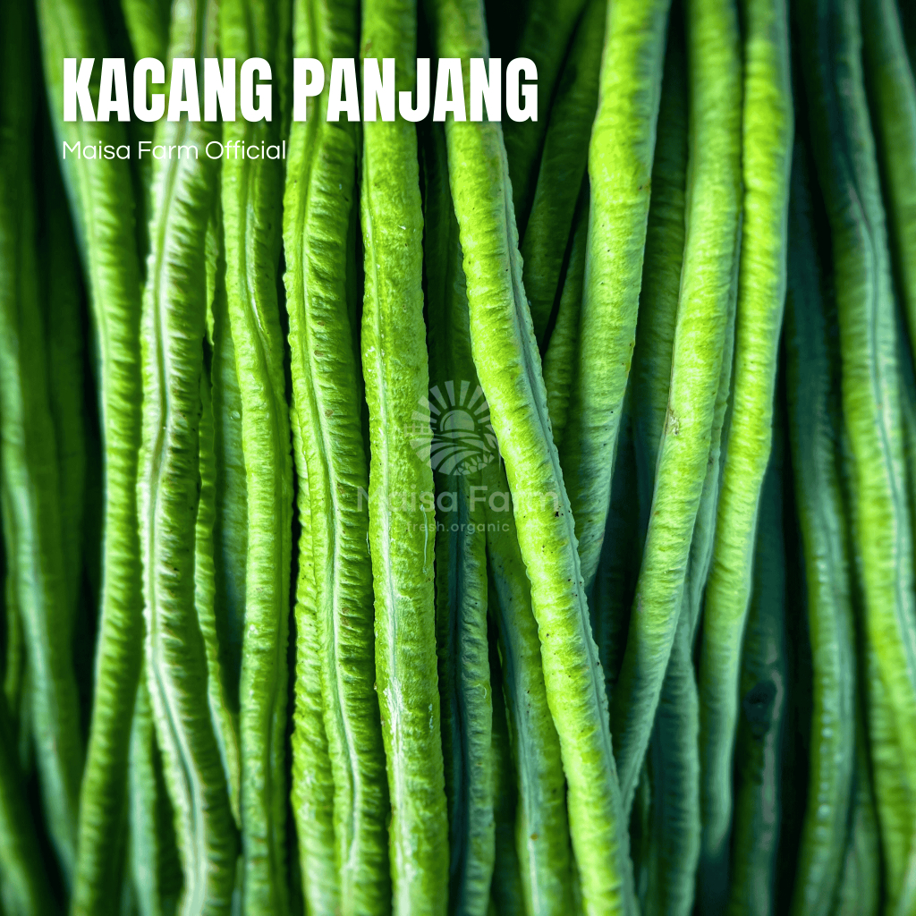 

Maisa Farm Cikarang - Sayur Kacang Panjang 250 gram segar