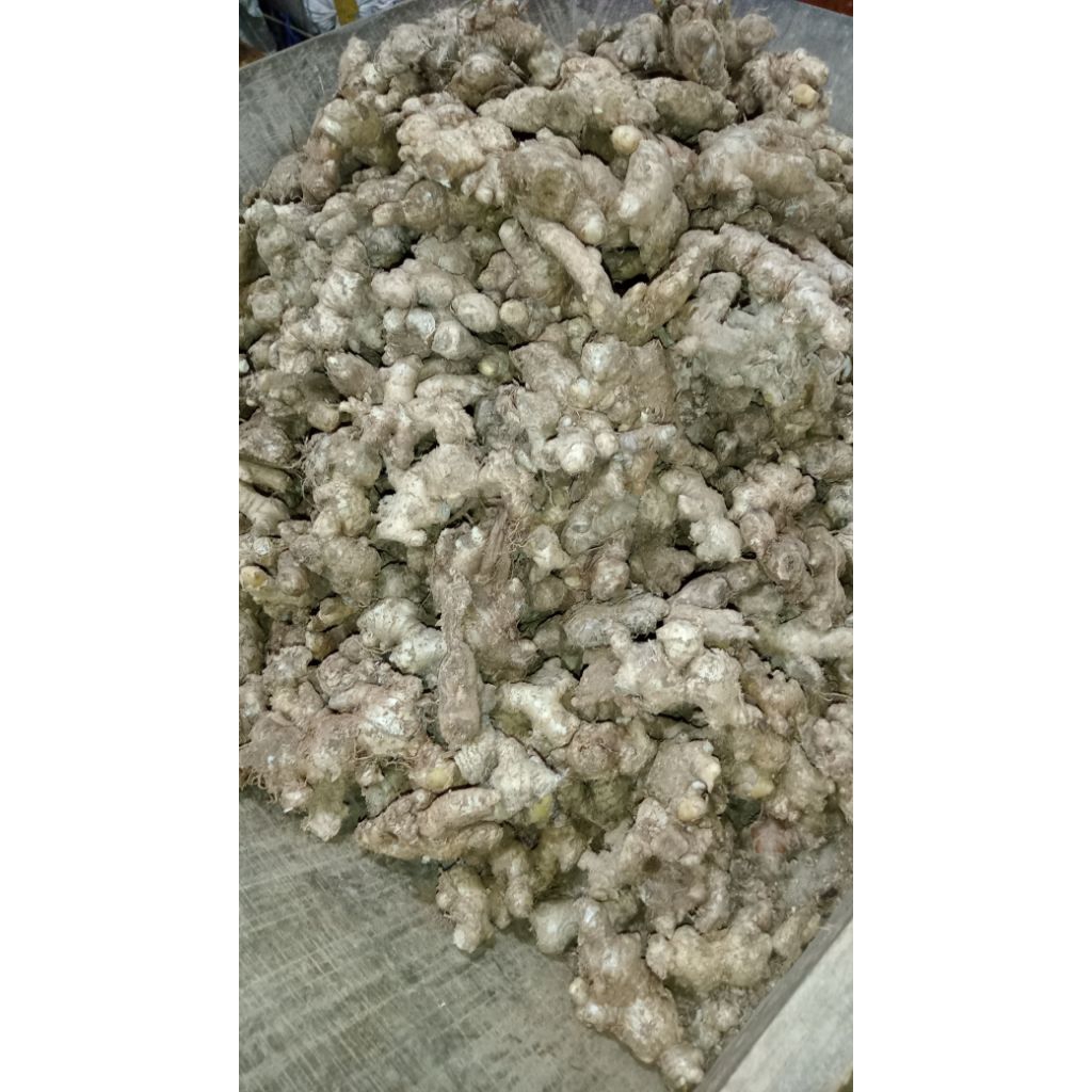 

JAHE'EMPRITsegarkualitasterbaik