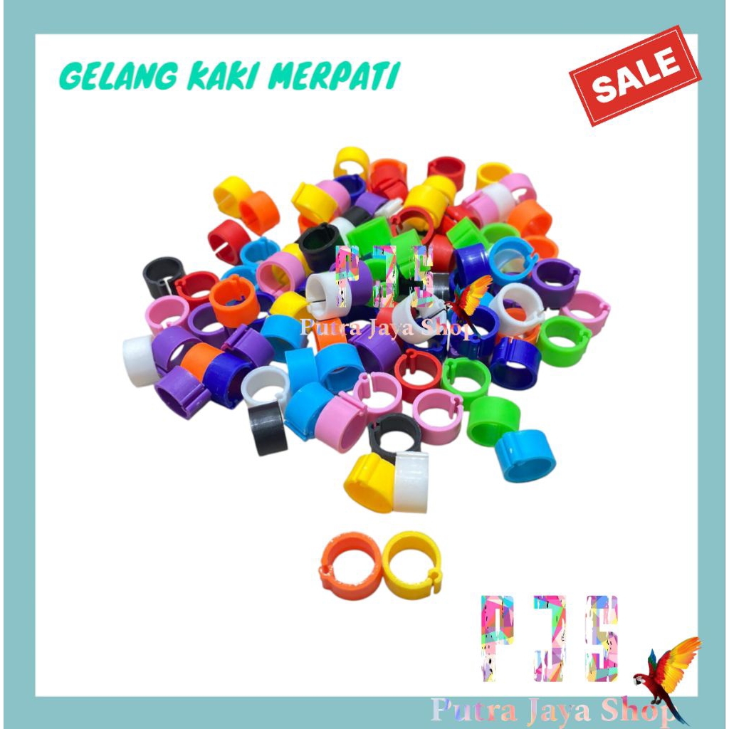 GELANG MERPATI | GELANG KAKI MERPATI | GELANG MERPATI KLIP PLASTIK | GELANG MERPATI BALAP | GELANG B