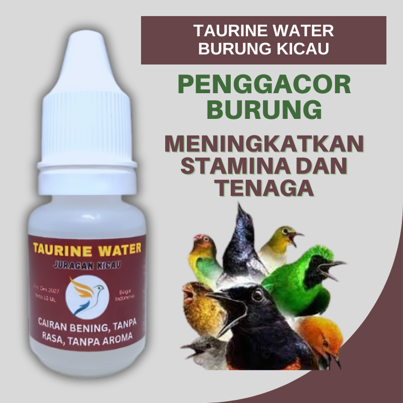 Taurine Water Juragan Kicau Untuk Penggacor Semua Jenis Burung