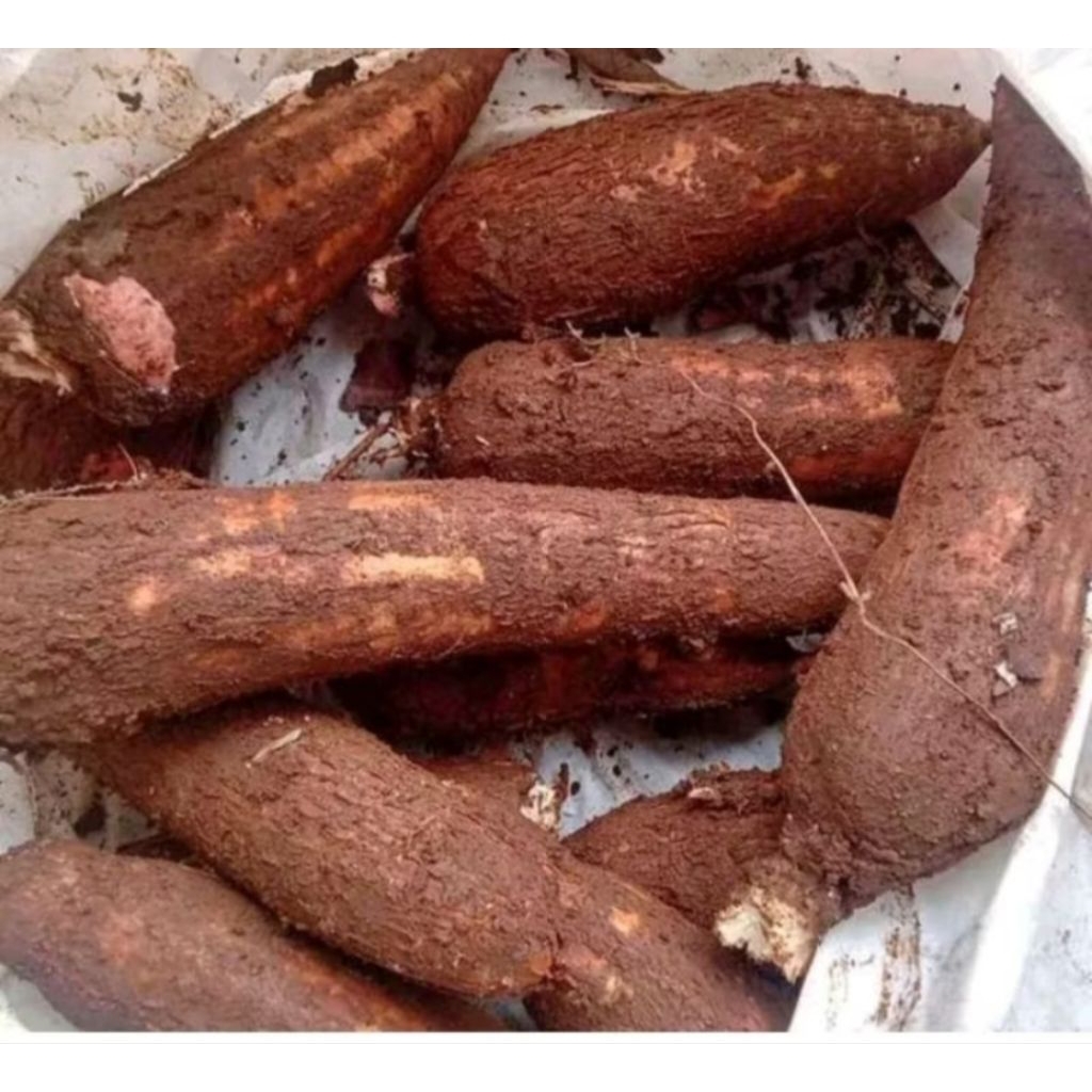 

singkongmentahempukdanpulen/fresh