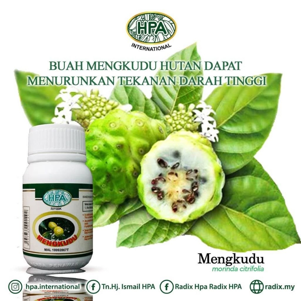 KAPSUL MENGKUDU HPA