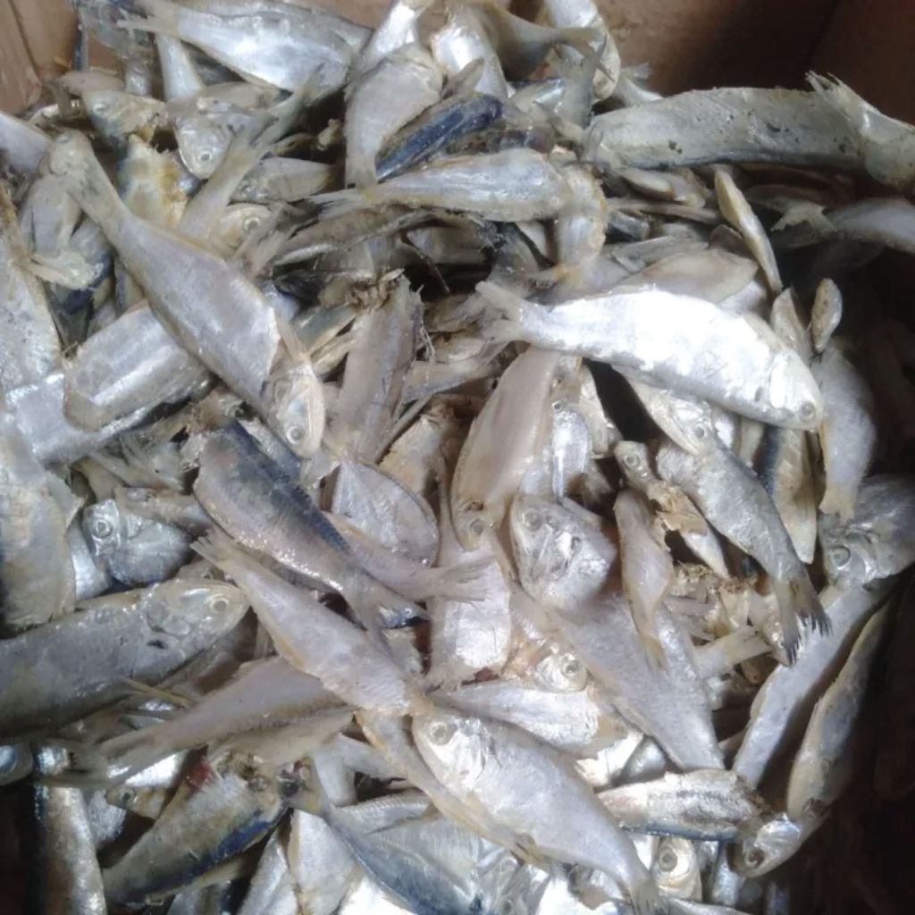

promo ikan asin campur