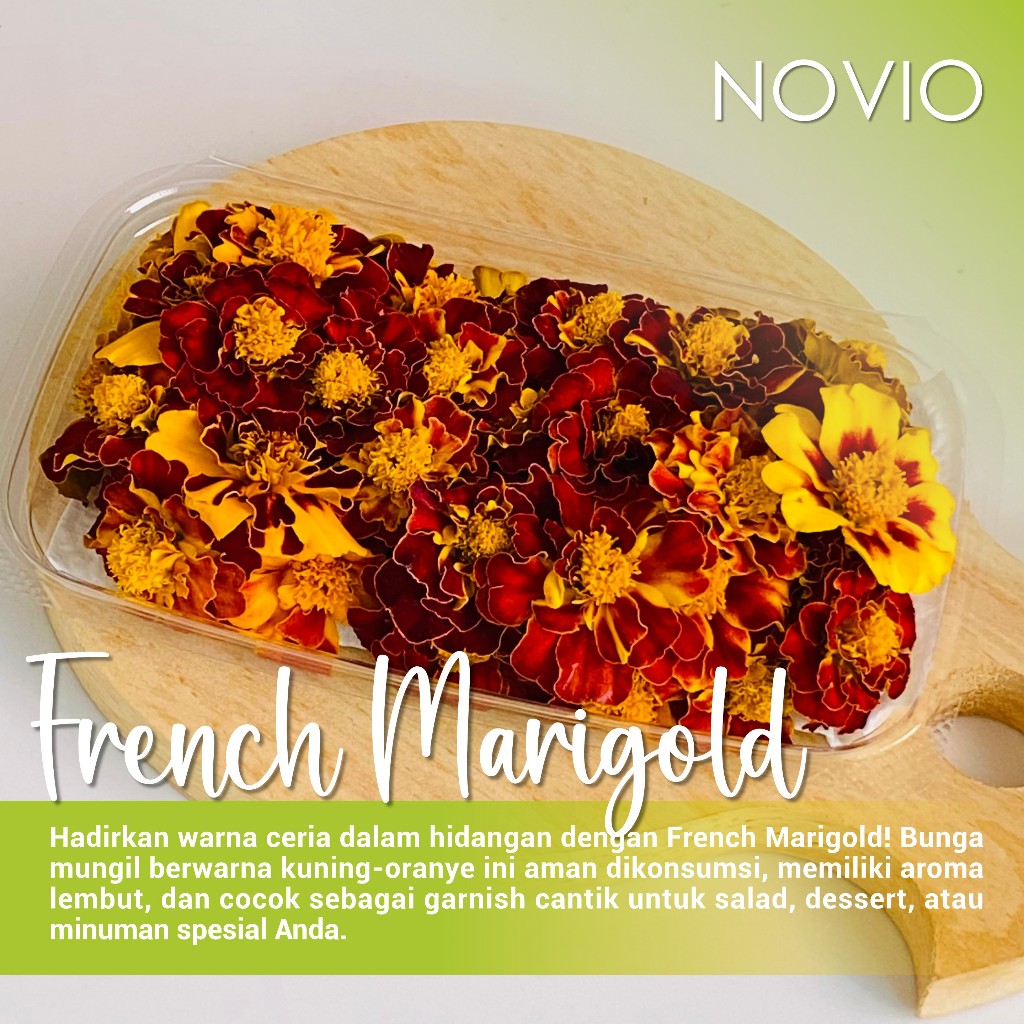 

Bunga french marigold fresh / edible flower french marigold / french marigold / fresh