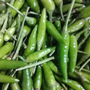 

RAWIT HIJAU / IJO 1KG