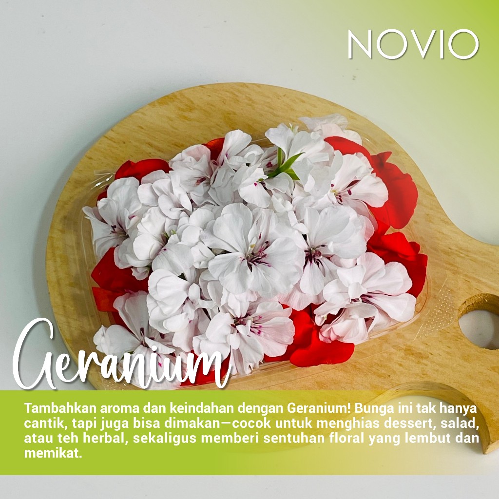 

Bunga geranium fresh / edible flower geranium / bunga geranium / fresh