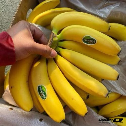 

Pisang Cavendish 0,950gr-1kg - Pisang Sunpride - alphukat.uf