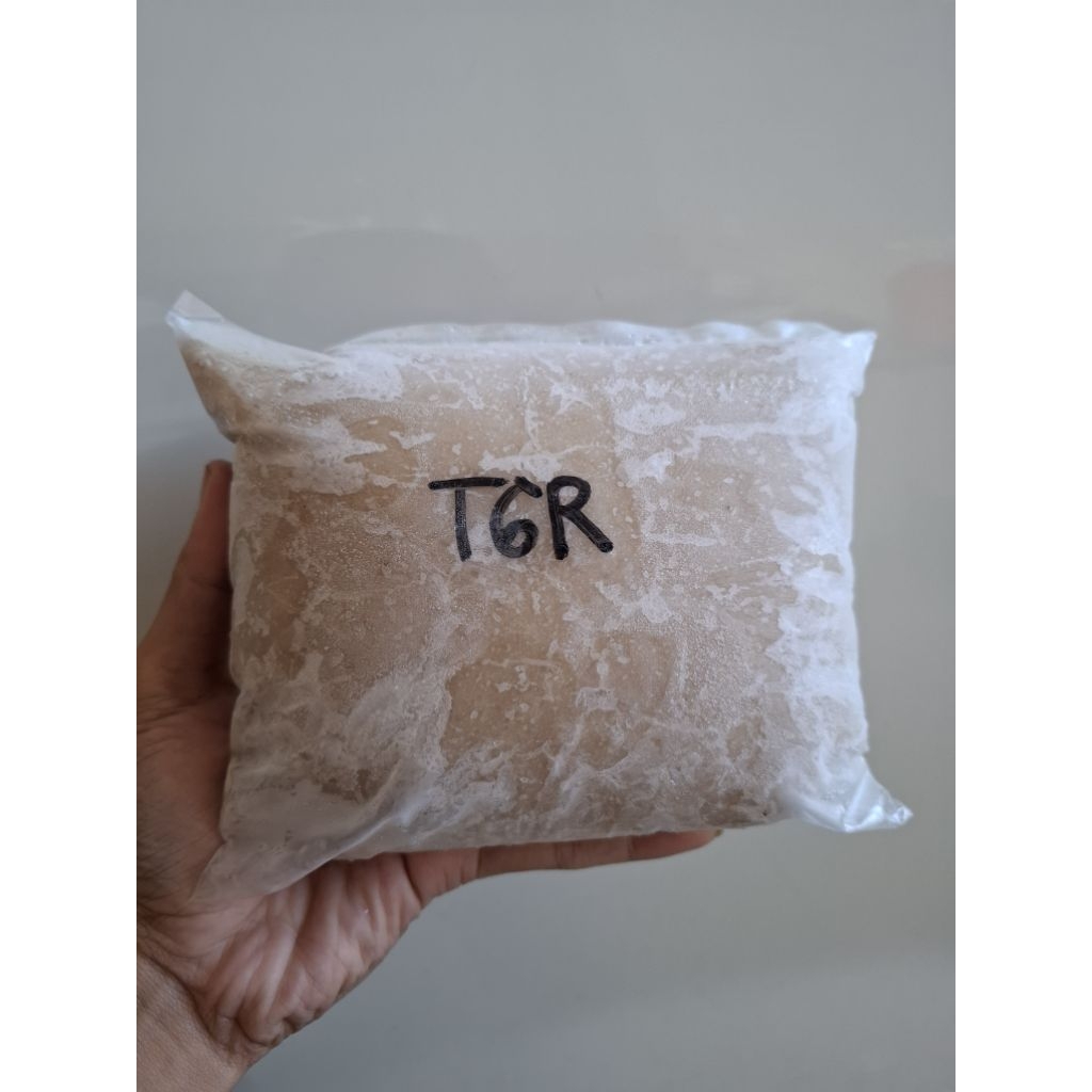 

DAGING IKAN TENGGIRI GILING 1 KG