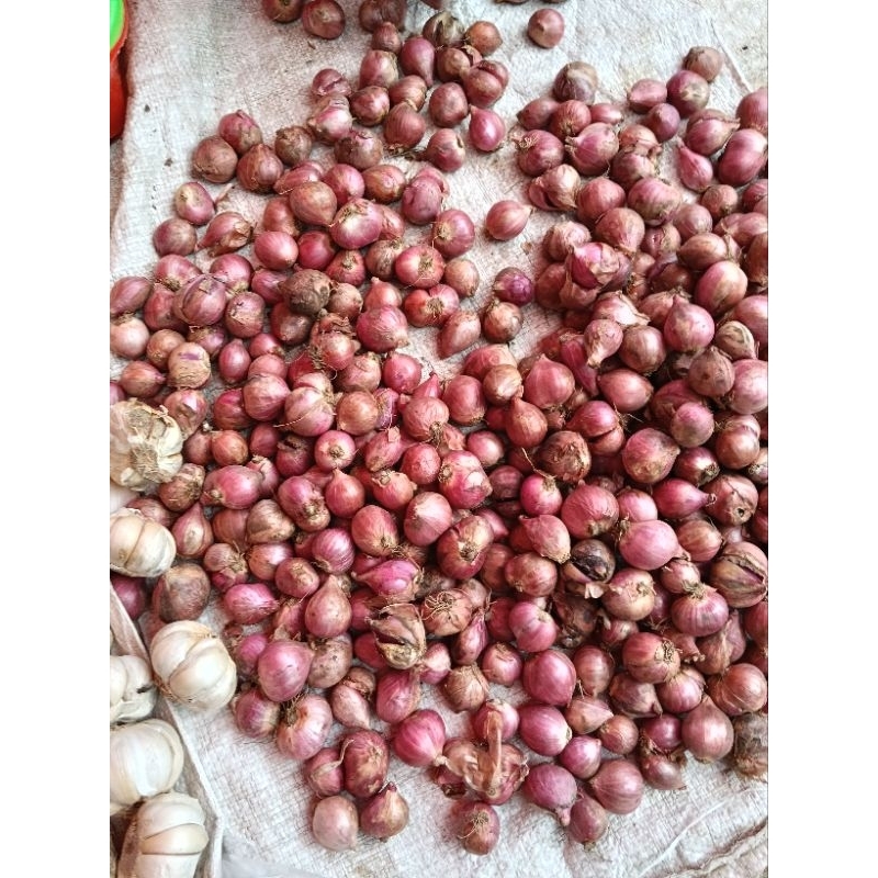 

Bawang merah