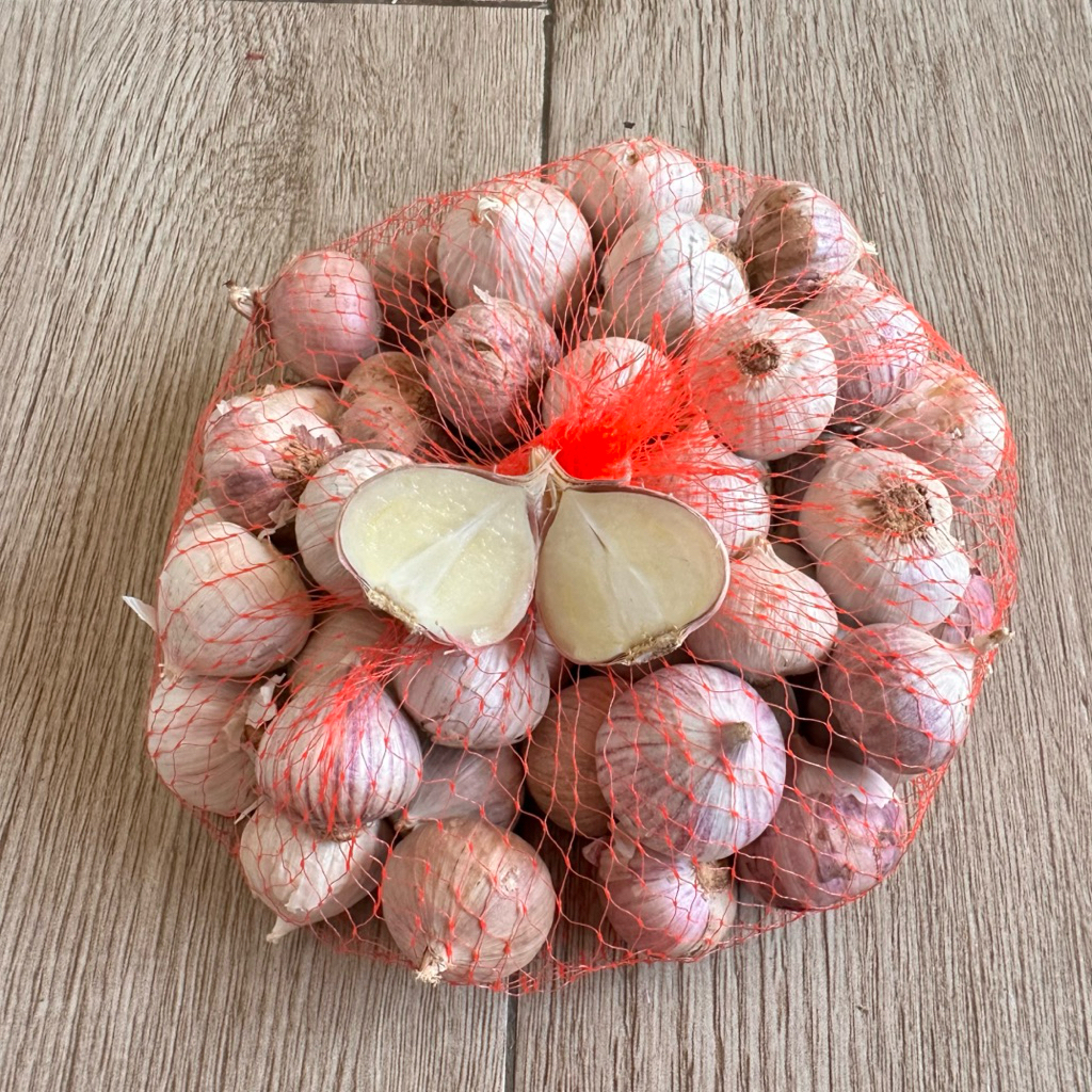 

Bawang putih tunggal asli 100% Bawang lanang Segar Super harga Termurah cocok untuk kesehatan