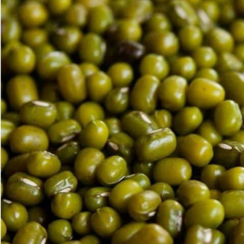 

Kacang Ijo Utuh 1 Kilogram | Kualitas Premium | Cocok untuk Bubur & Kue Tradisional