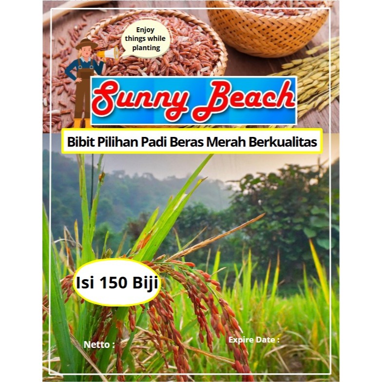 Bibit Pilihan Padi Beras Merah Berkualitas |Biji Benih Padi Beras Merah|Bibit Beras