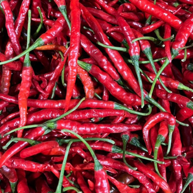 

Cabai Cabe Merah Keriting Segar Murah | Promo Sayuran Fresh Buah Amanah