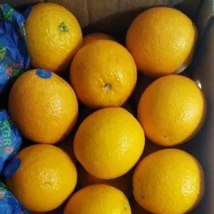 

jeruk sunkist valencia 450g