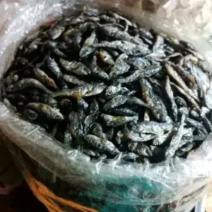 

IKAN BILIH MEDAN 100gram