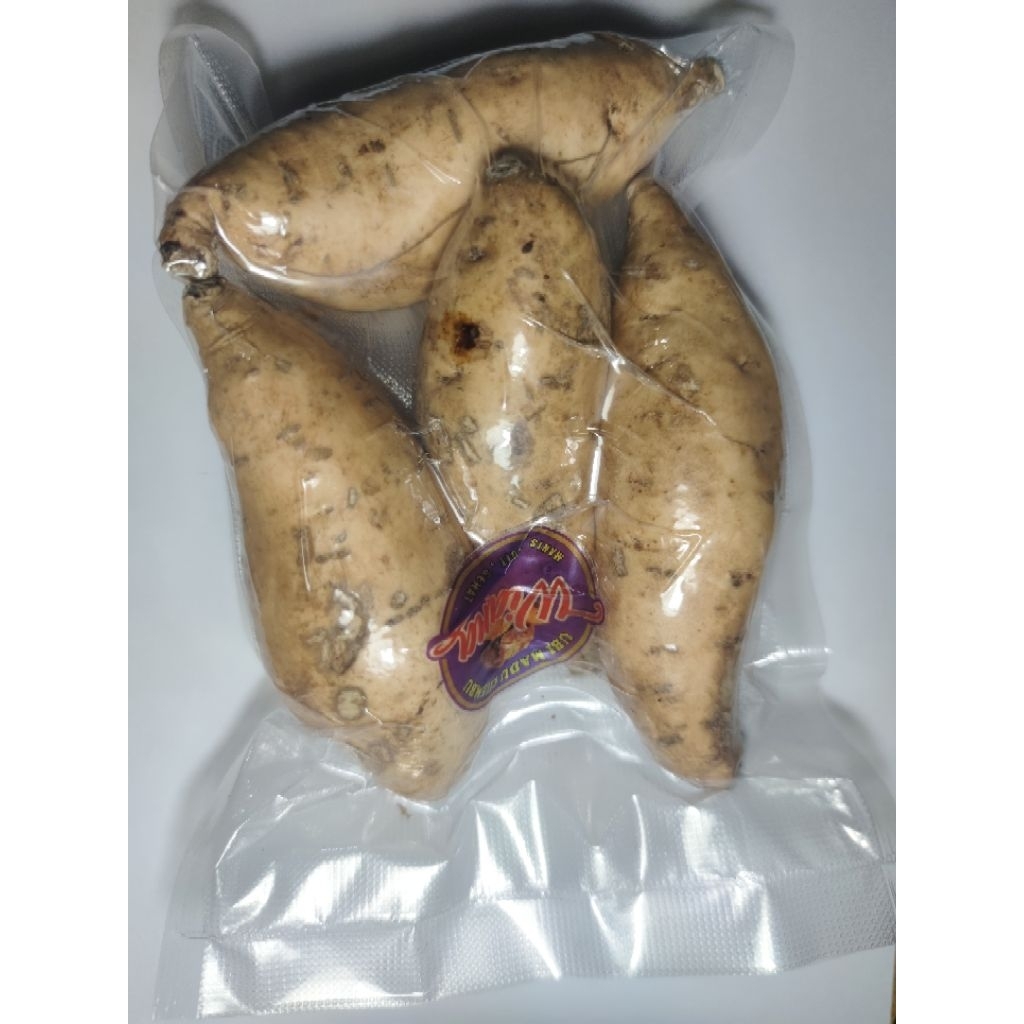 

ubi madu cilembu besar