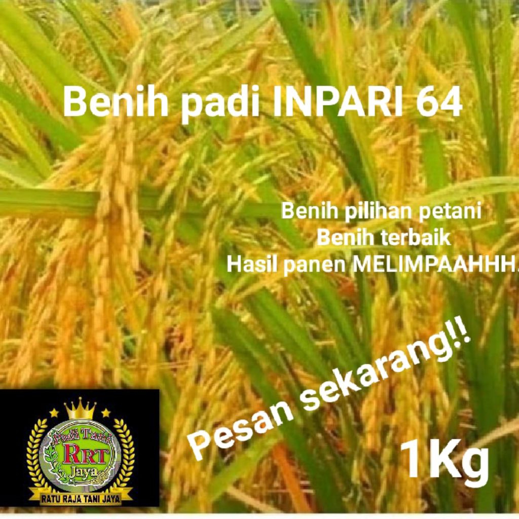 BENIH PADI INPARI 64 KEMASAN PREMIUM 1KG