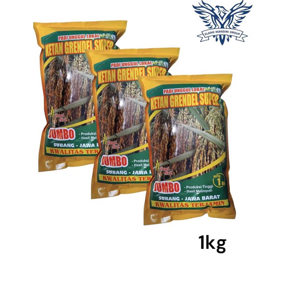 KODE H43R Benih Ketan Grendel Super 1 Kg Benih Padi Ketan Putih Dewi Sri Premium Benih Ketan Mapan